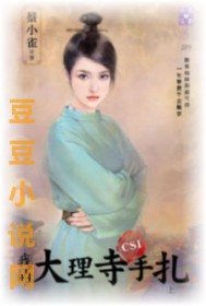 我的大理寺CSI手扎